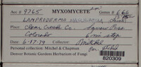 Image Associated With the Occurence
